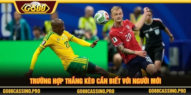 Trường hợp thắng kèo cần biết với người mới Trường hợp thắng kèo cần biết với người mới